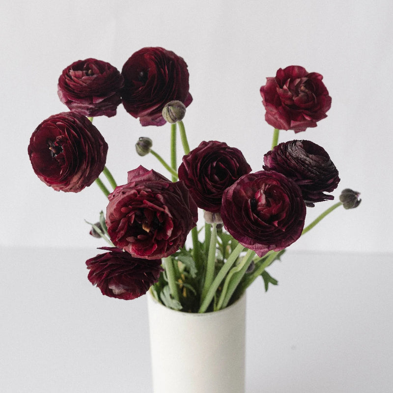 Dark Red Ranunculus Vase - Image