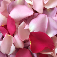 Mixed Pink Dried Rose Petals