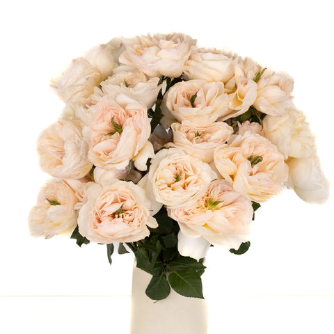 David Austin Charity Garden Rose Vase - Image