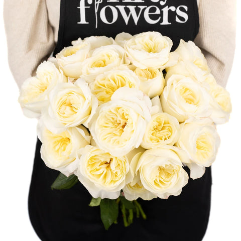 David Austin Ella Auswagsy Garden Rose Apron - Image