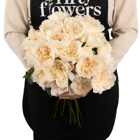 David Austin Purity Ausoblige Garden Rose Apron - Image