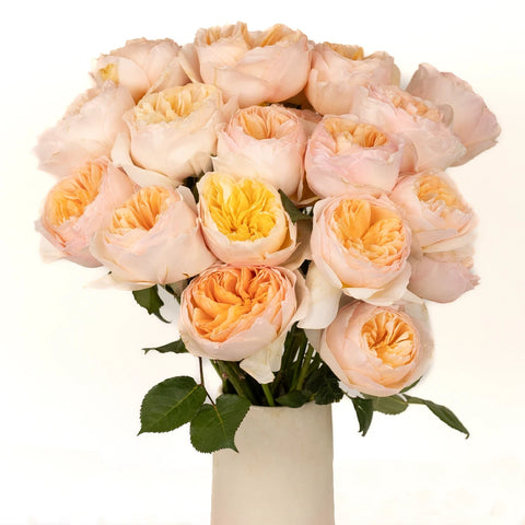 David Austin Rose Peach Juliet Ausgameson Vase - Image