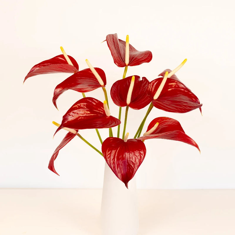 Decadent Red Designer Anthurium Flower Vase - Image