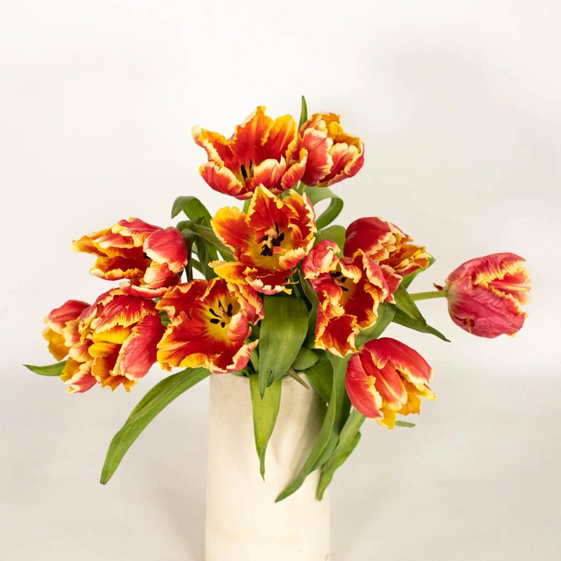 Deep Orange And Yellow Parrot Tulip Vase - Image