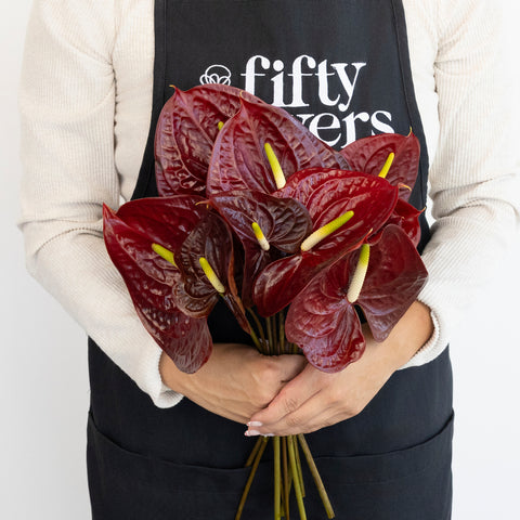 Deep Red Anthurium Flower Apron - Image
