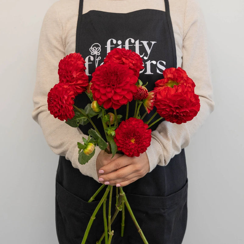 Deep Red Dahlia Flower Apron - Image