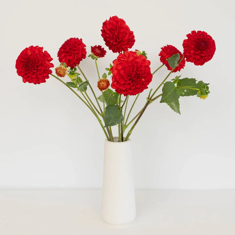 Deep Red Dahlia Flower Vase - Image