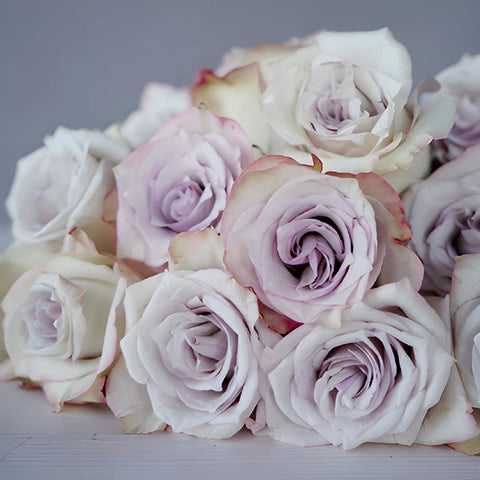 Frosted Amethyst Rose