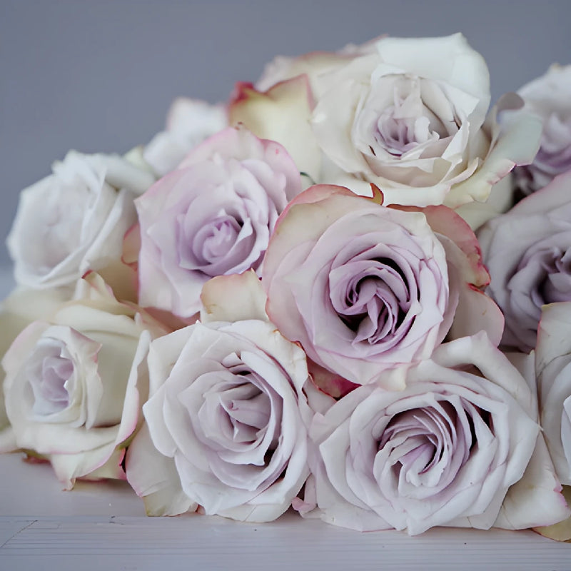Frosted Amethyst Rose