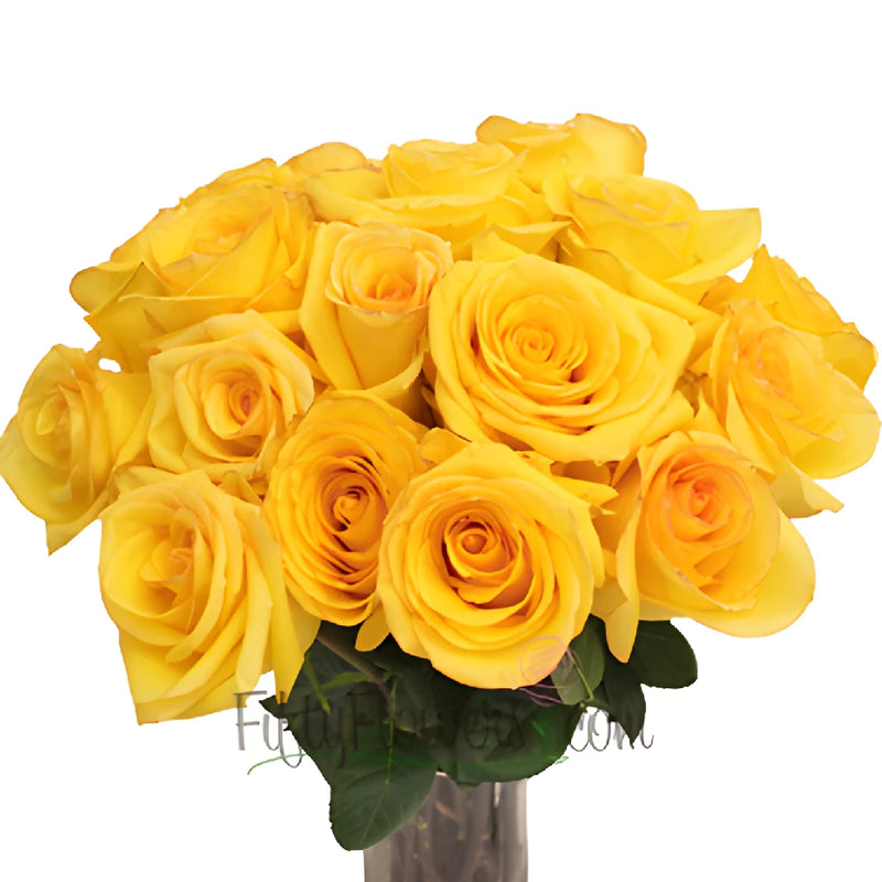 Dejavu Golden Yellow Rose