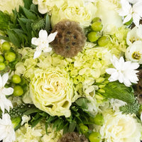 Dill Green Diy Flower Kit Close Up - Image