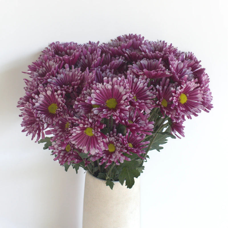 Disco Diva Pom Flower Stem - Image