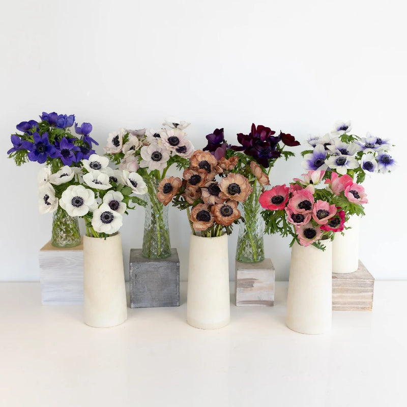 Diy Garden Flower Mothers Day Combo Stem - Image