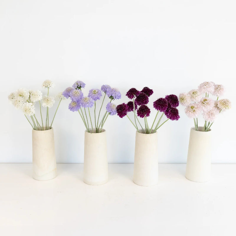 Diy Garden Flower Mothers Day Combo Vase - Image