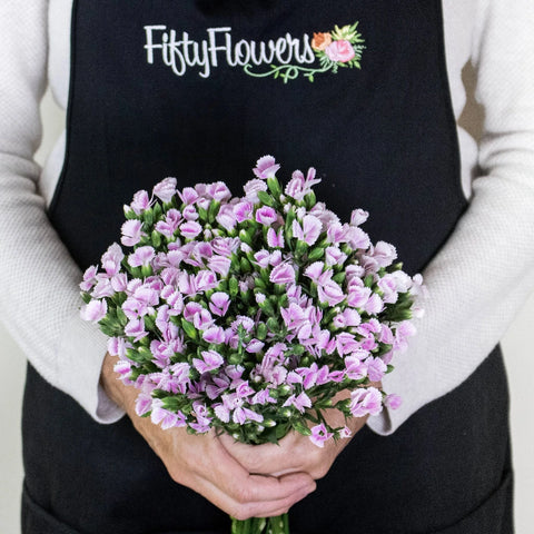 Pink Lilipot Wholesale Flowers Bunch In a Hand