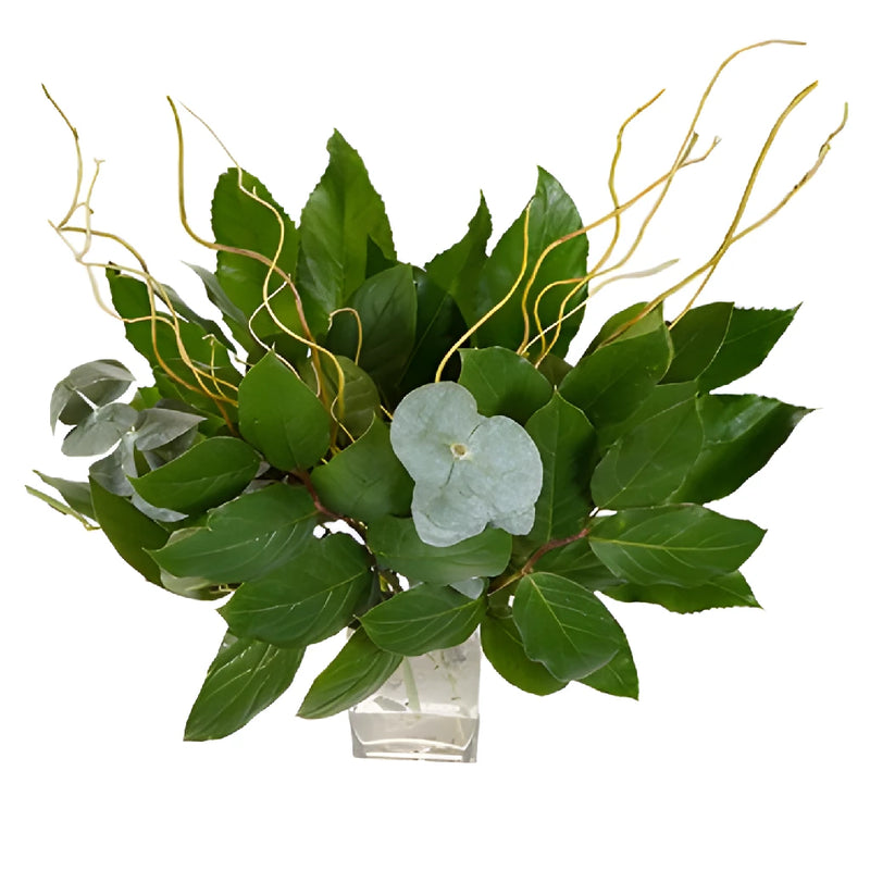 Willow and Greens Starter Centerpiece