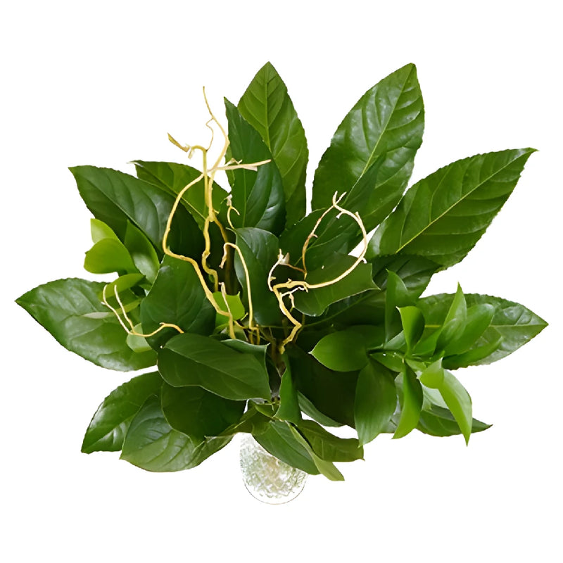 Twigs and Greens DIY Starter Centerpiece