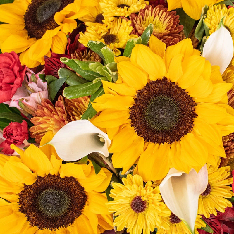Saffron At Dawn Wedding Bouquet Close Up