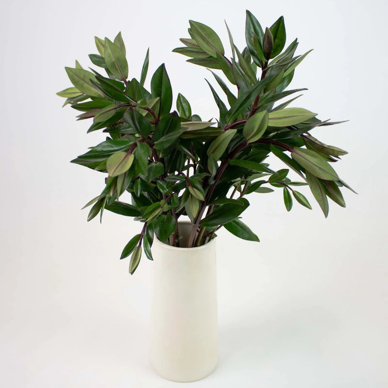 Hebe Greenery Bunch in Vase