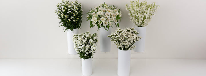 Pure Magic DIY Flower Kit