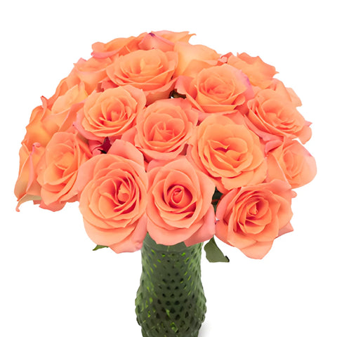 Tangerine Sunrise Sweetheart Roses