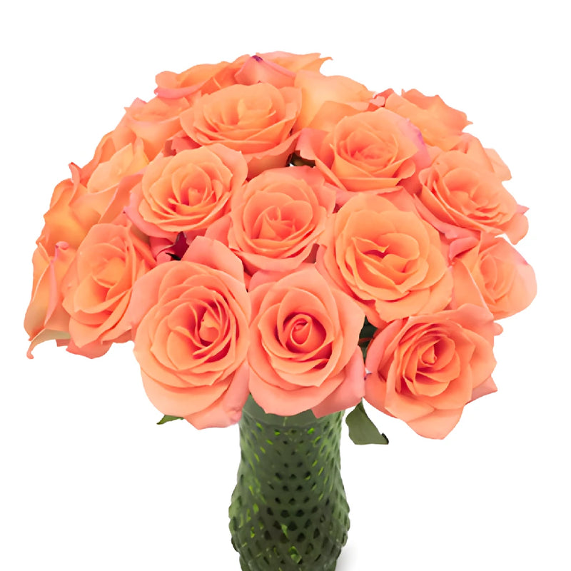 Tangerine Sunrise Sweetheart Roses