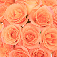Tangerine Sunrise Sweetheart Roses