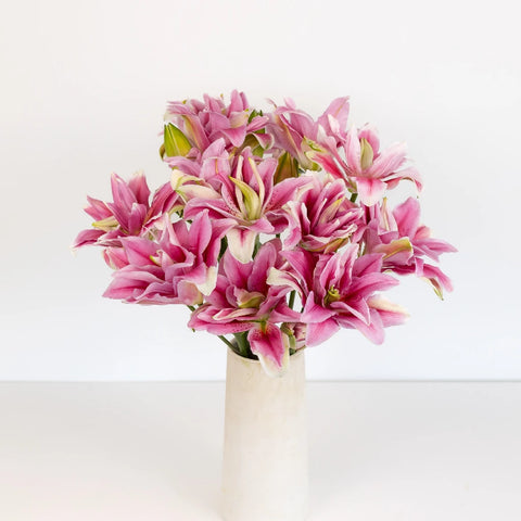 Double Bloom Watermelon Lily Vase - Image