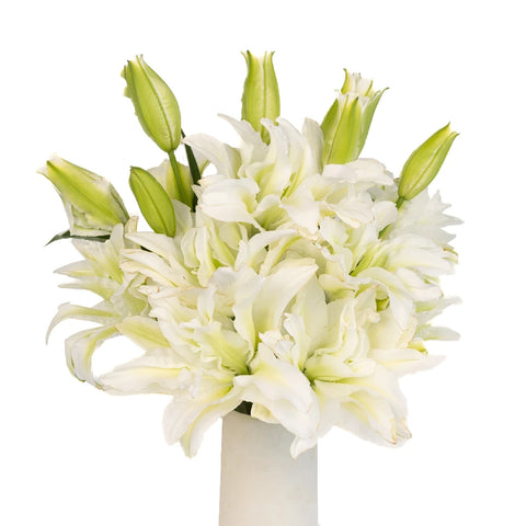 Double Bloom White Lily Vase - Image