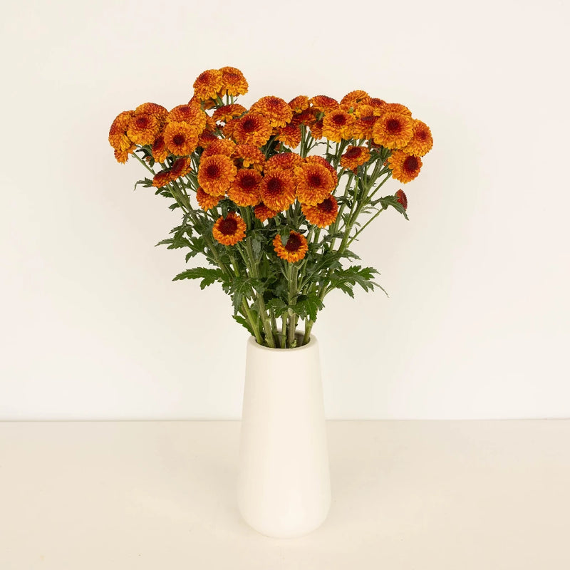 Draco Vase - Image