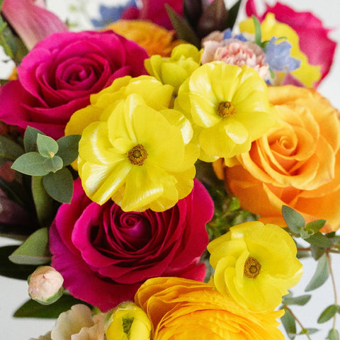 Dragonfruit Delight Diy Flower Kit Hand - Image