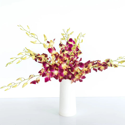 Dragonfruit Dendrobium Orchids Vase - Image