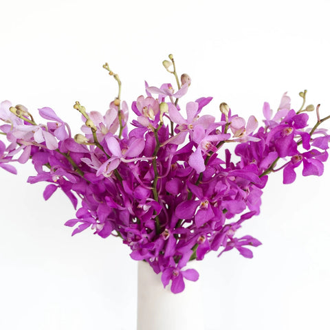Dramatic Pink Mokara Orchid Vase - Image
