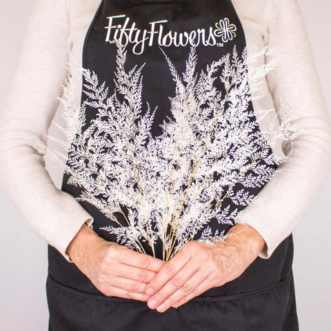 Dried Bleached Lace Fern Bunch in Hand