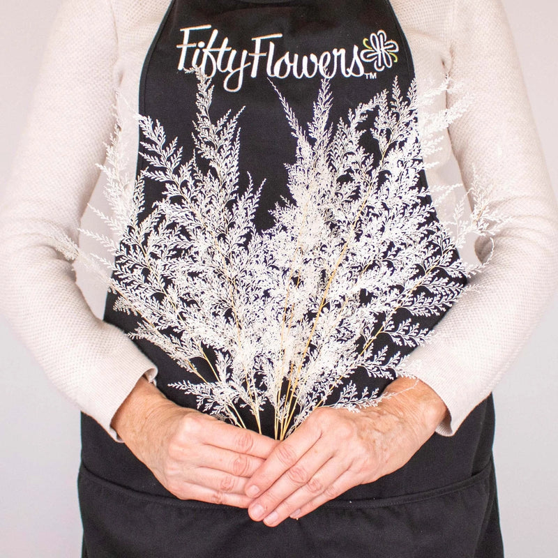 Dried Bleached Lace Fern Bunch in Hand