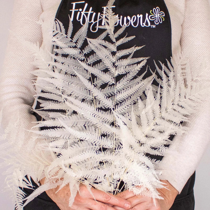 Dried Bleached Long Fern Bunch in Hand