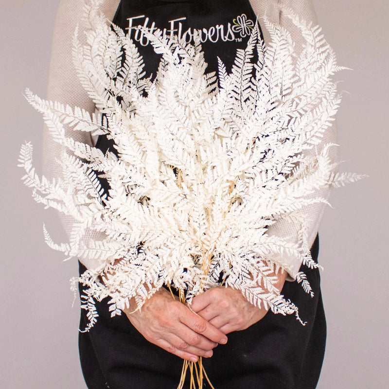 Dried Bleached Mountain Fern Bunch in Hand