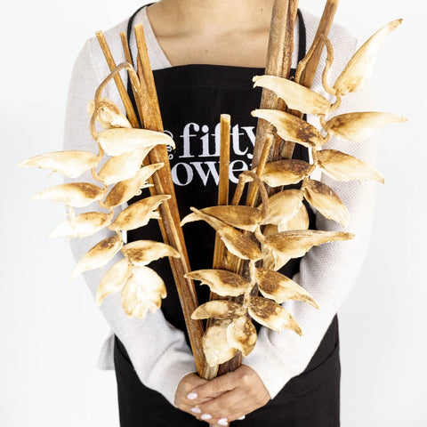 Dried Heliconia Flowers Apron - Image