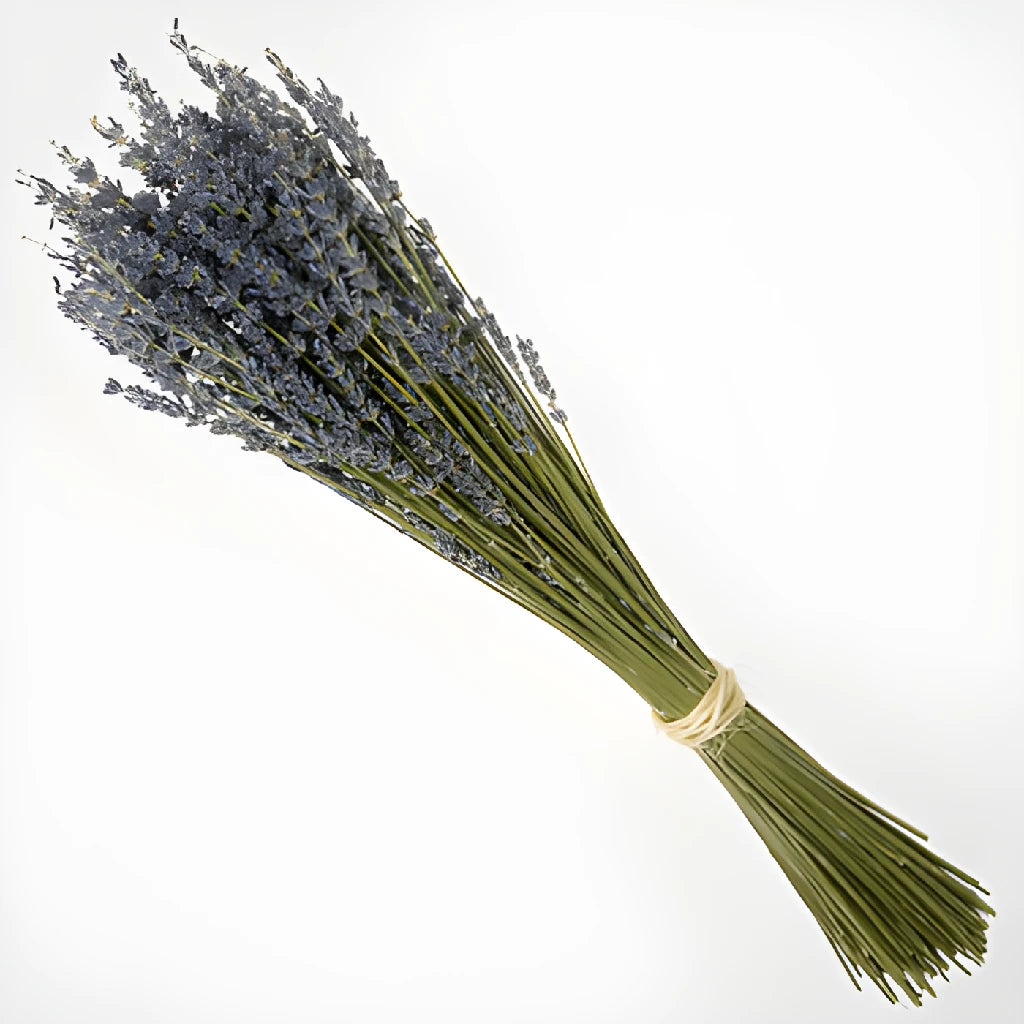 Dried Lavender Bulk Bunches - Thumbnail 3