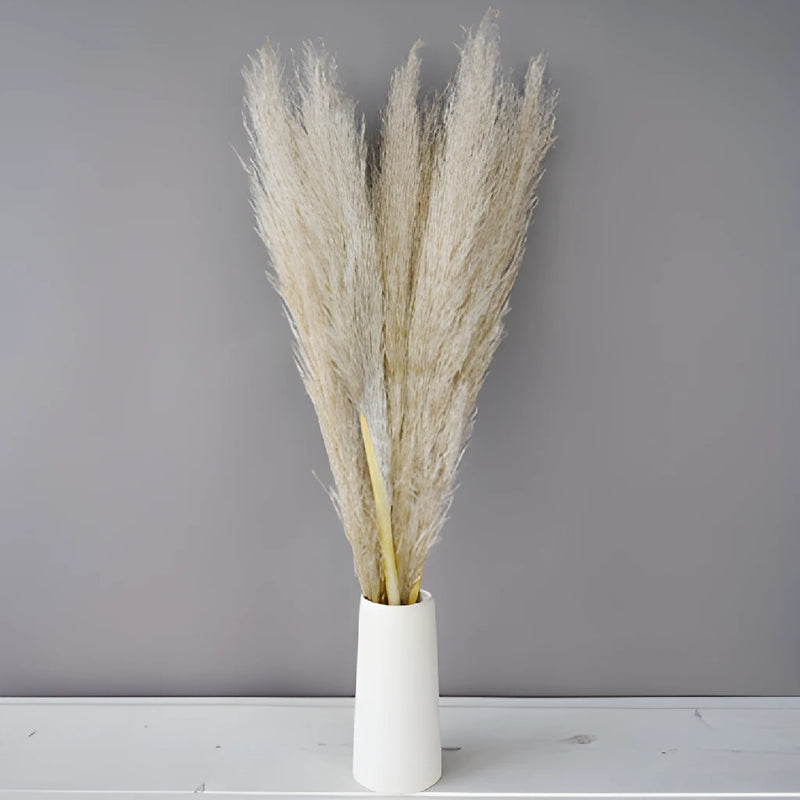 Natural Boho Dried Pampas Grass