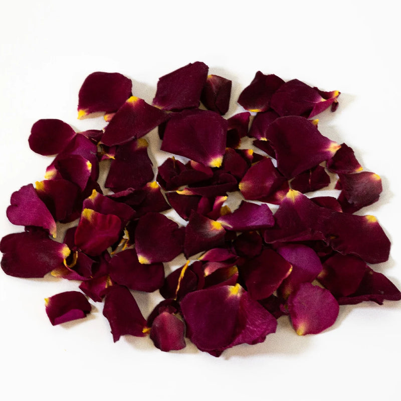 Drop Dead Red Dried Rose Petals Stem - Image