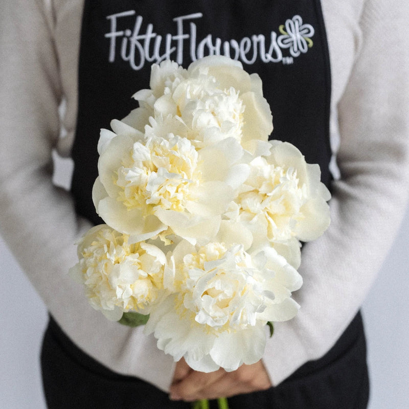 Bulk Duchess White Peonies December Delivery
