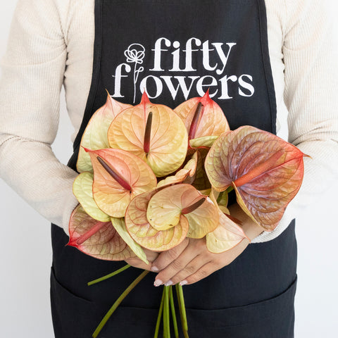 anthurium flower drying Buy Wholesale Dusty Rose & Olive Anthurium Flower in Bulk