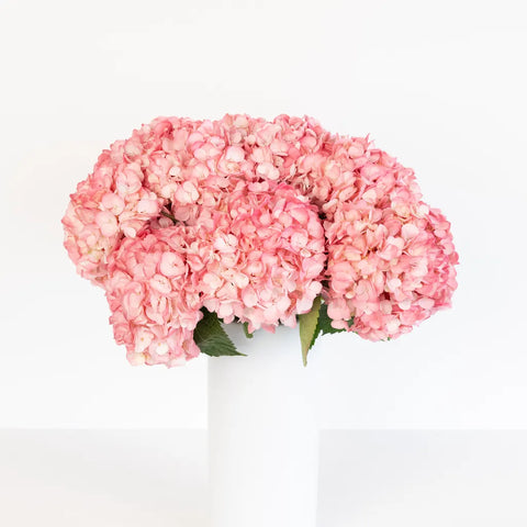 Dusty Rose Airbrushed Hydrangea Flower Vase - Image