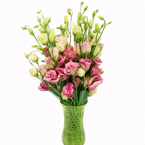 Dusty Rose Lisianthus Wholesale Flower Vase - Image