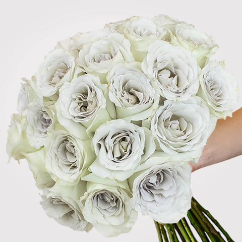 Early Grey Rose Bunch in a Hand