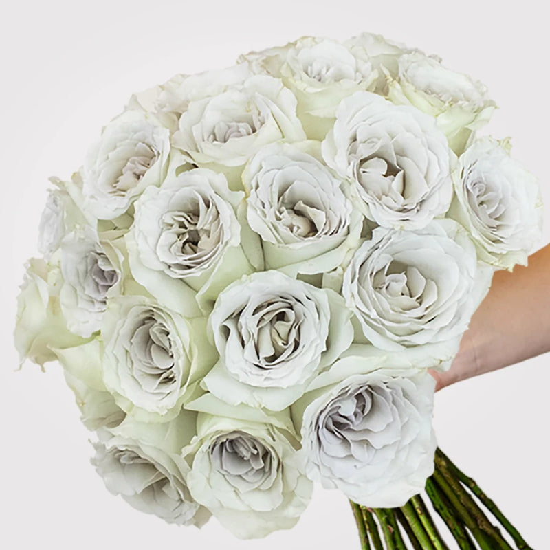 Early Grey Rose Bunch in a Hand