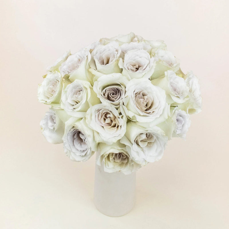 Early Grey Wholesale Roses In a Vase