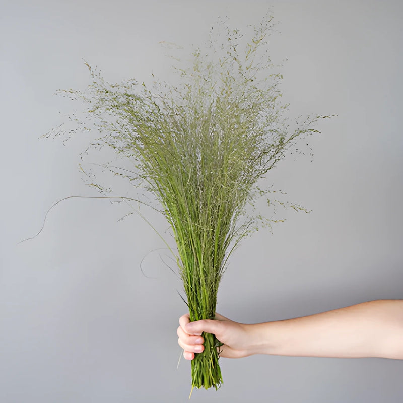 Wholesale greenery ebony love grass filler flowers sold as bulk