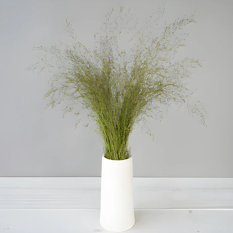 Fresh cut greens ebony love grass bunch designed